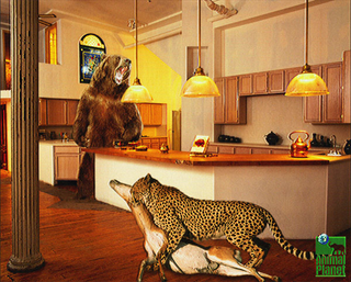 Two cast members have a heated argument on The Animal Planet's new reality show<I> The Zoo.</I>